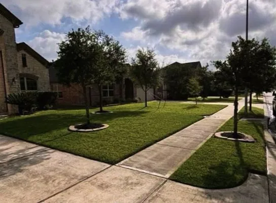 The Perfect Lawns Logo