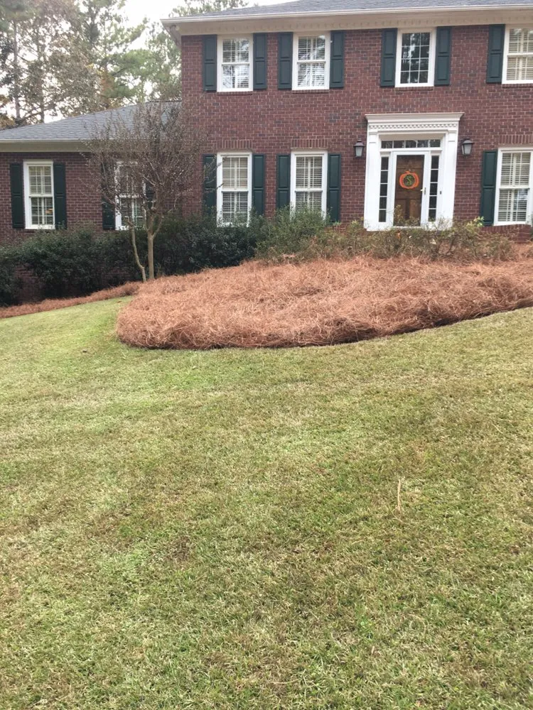 Affordable landscape design near you across Auburn, AL - The perfect look lawn care
