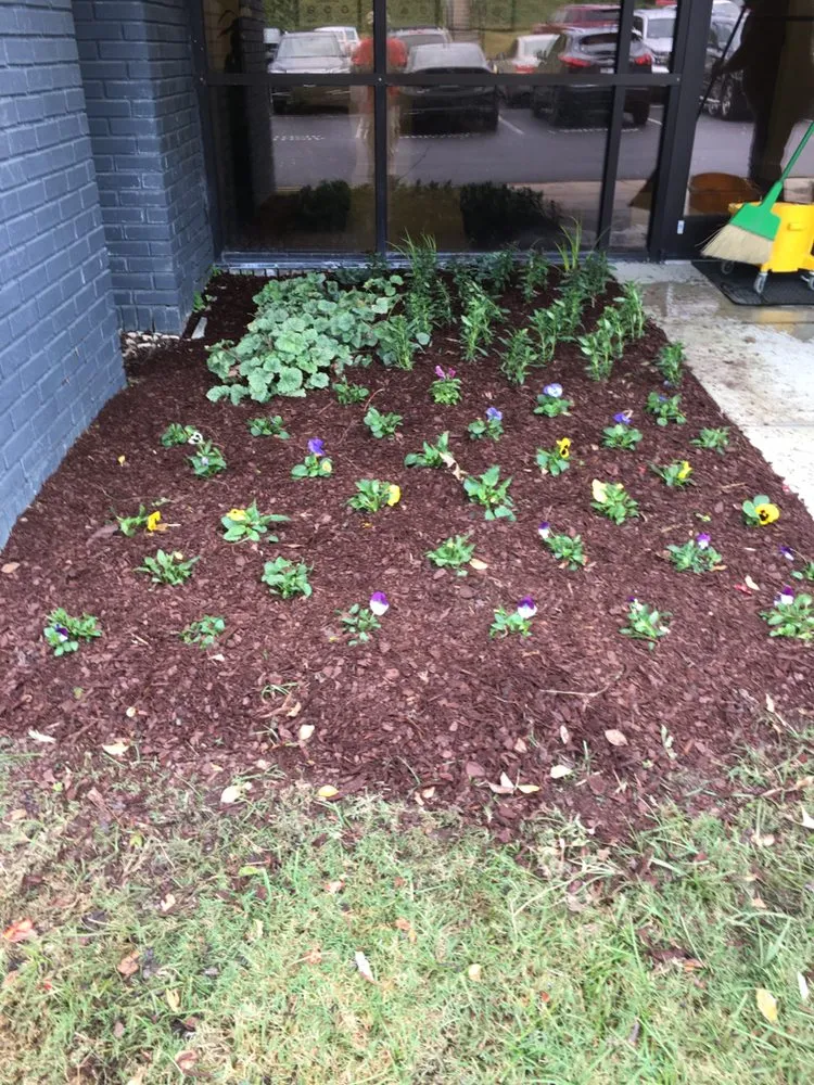 Reliable outdoor landscaping in Auburn, AL by The perfect look lawn care