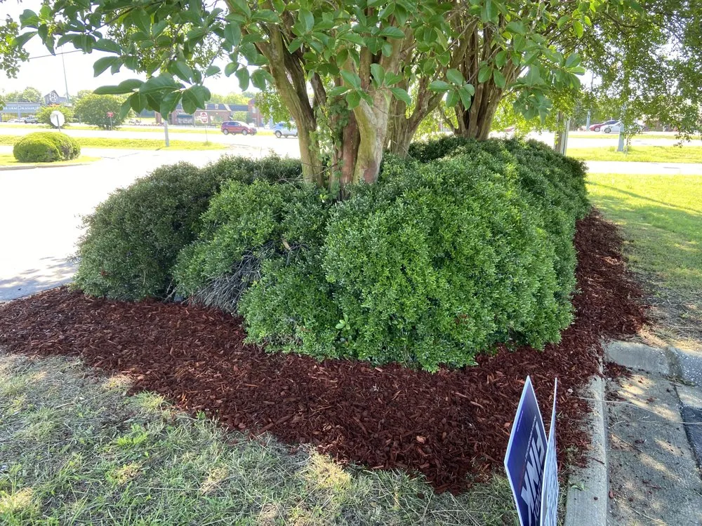 Local landscaping services for year-round maintenance in Auburn, AL by The perfect look lawn care