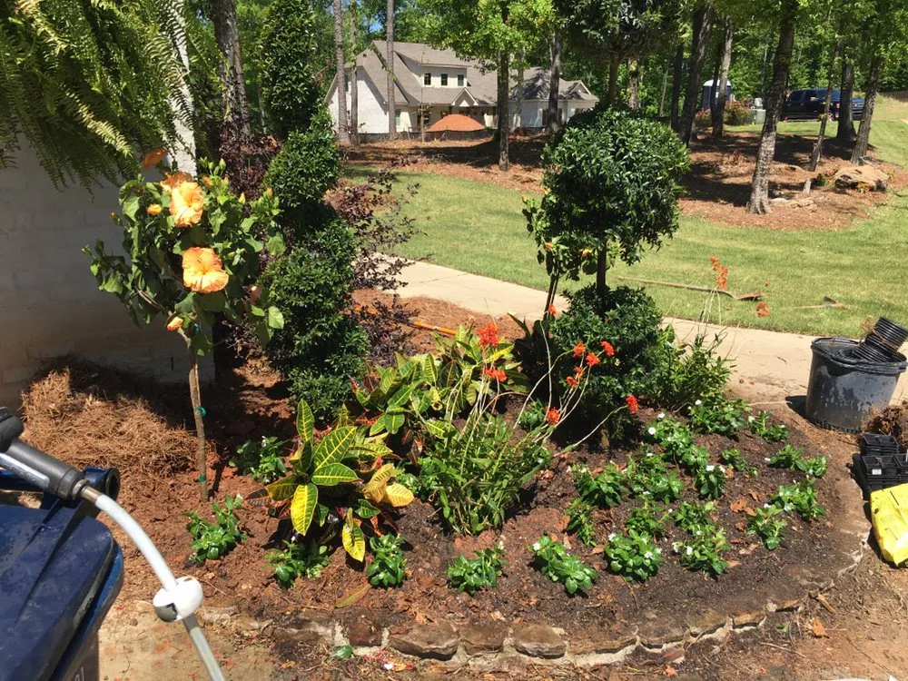 Expert lawn mowing service in Auburn, AL - The perfect look lawn care