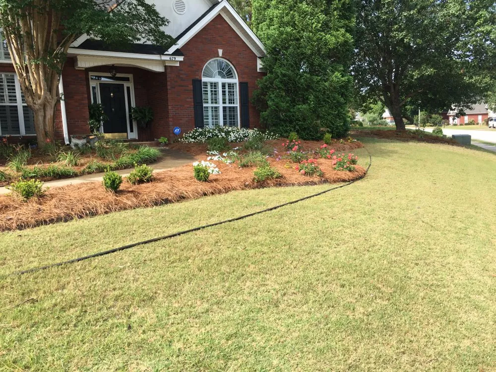 Professional lawn care service for year-round maintenance in Auburn, AL by The perfect look lawn care
