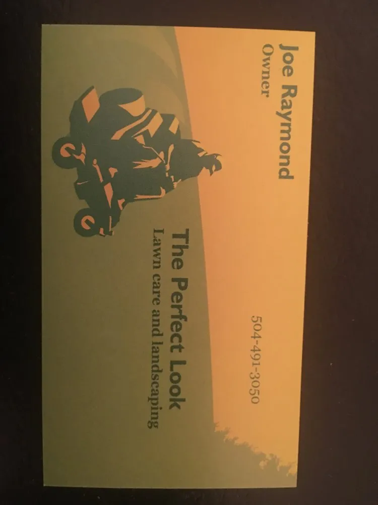 Trusted yard cleanup service in Auburn, AL - The perfect look lawn care