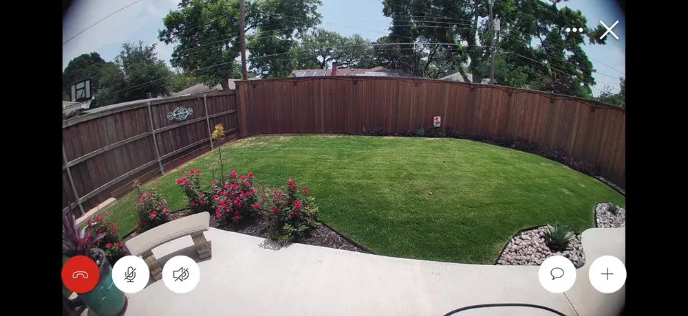 Expert yard cleanup service for residential properties in Plano, TX by The Pest Shop