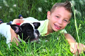 Local outdoor landscaping in Plano, TX - The Pest Shop