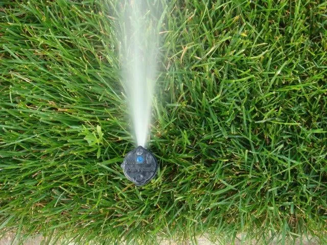 Professional yard cleanup service in Indianapolis, IN - The Peters Group