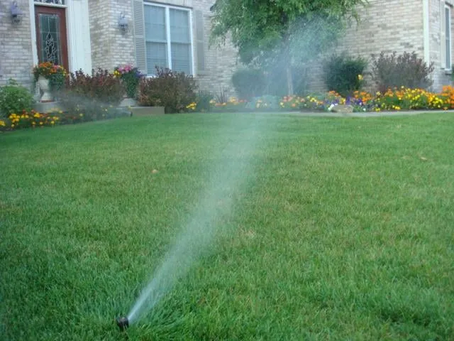 Reliable lawn care service for homes across Indianapolis, IN - The Peters Group