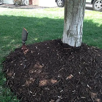 Top-rated yard maintenance in Indianapolis, IN by The Peters Group