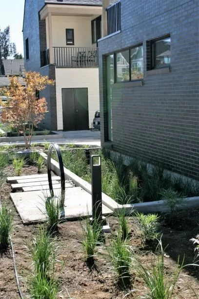 Professional landscape installation in Portland, OR by The Phoenix Garden Project