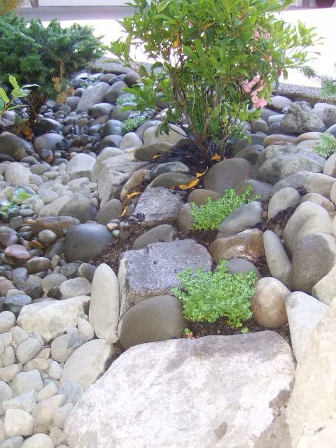 Trusted landscape design in Portland, OR - The Phoenix Garden Project