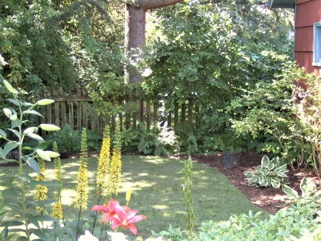 Expert garden landscaping for year-round maintenance in Portland, OR by The Phoenix Garden Project