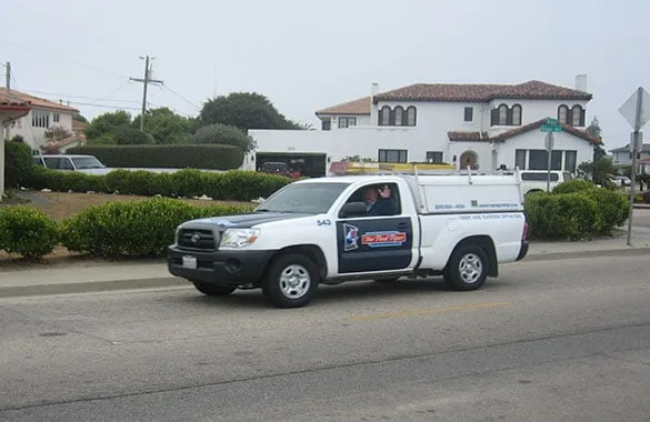 Top-rated yard maintenance in Freedom, CA by The Pied Piper Exterminators