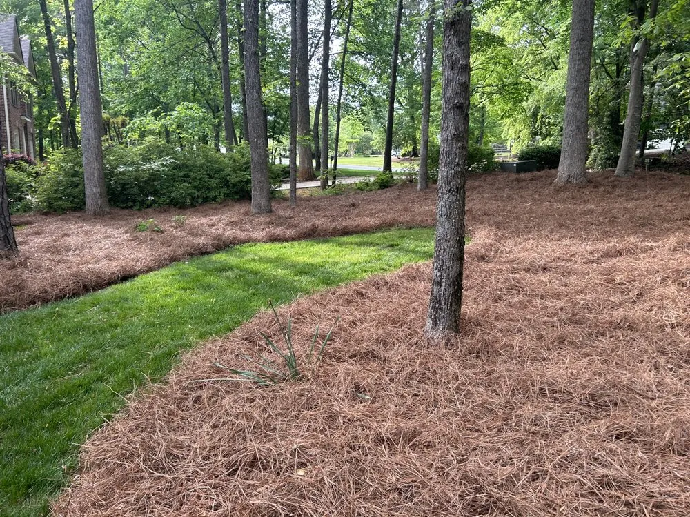 Trusted lawn care service with custom design across Concord, NC - The Pine Needle Man