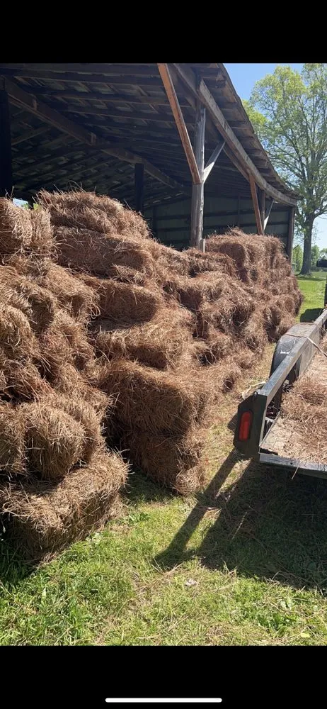 Trusted lawn mowing service in Concord, NC by The Pine Needle Man