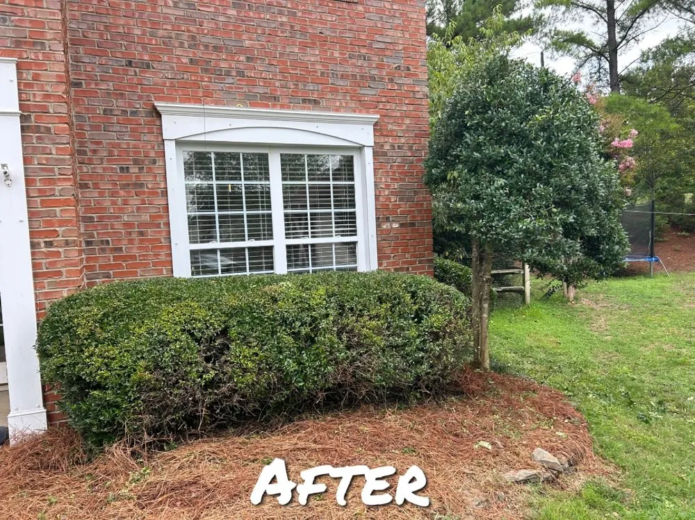 Affordable landscape installation for residential properties in Concord, NC by The Pine Needle Man