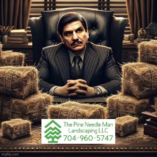 Affordable landscape installation near you across Concord, NC - The Pine Needle Man