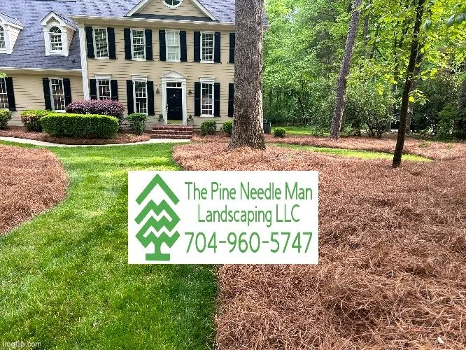 Custom outdoor landscaping in Concord, NC by The Pine Needle Man