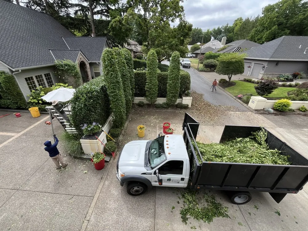 Professional landscape installation for homes in Woodburn, OR by The Pines Landscape