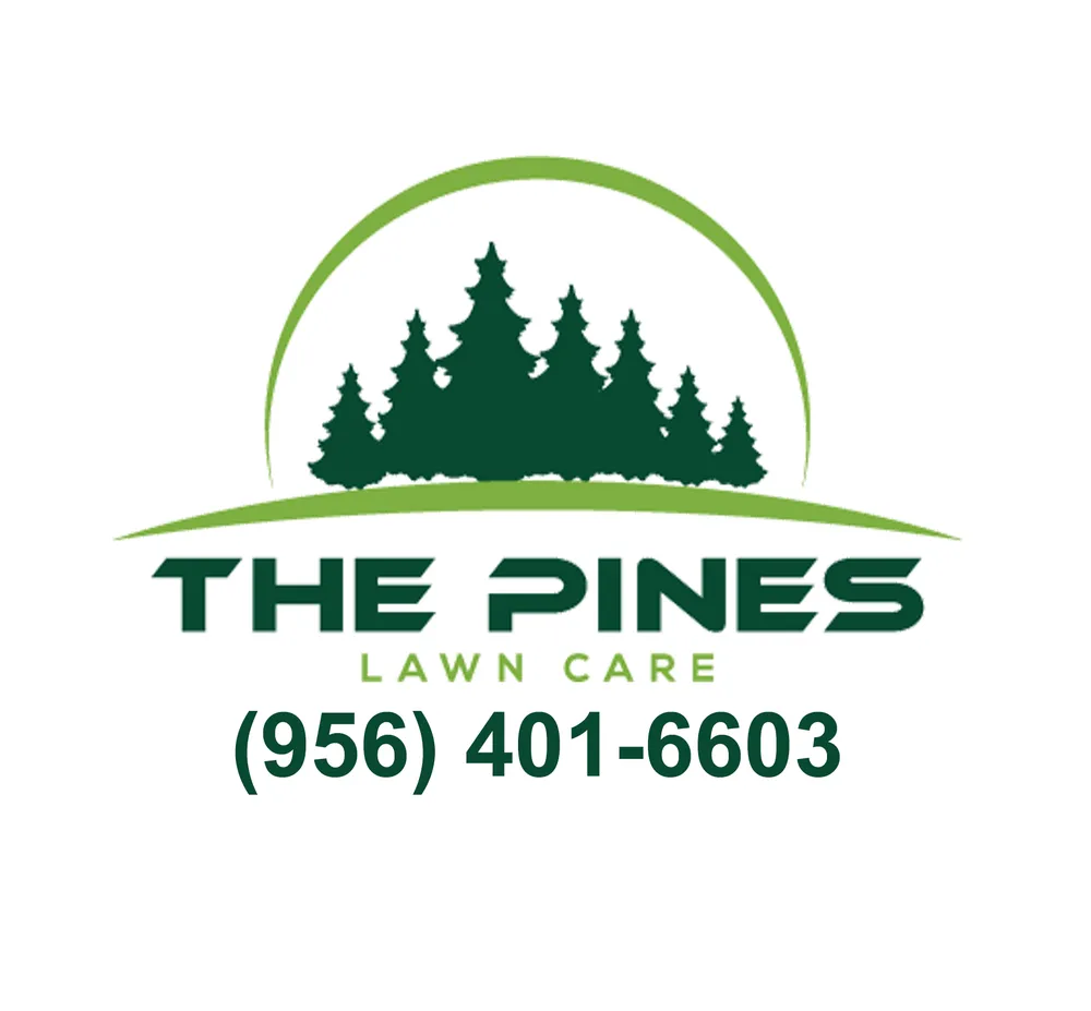 Reliable lawn care service for beautiful yards in College Station, TX by The Pines Lawn Care