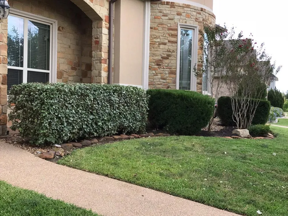 Professional landscape design for year-round maintenance across College Station, TX - The Pines Lawn Care