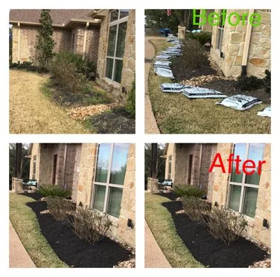 The Pines Lawn Care Logo