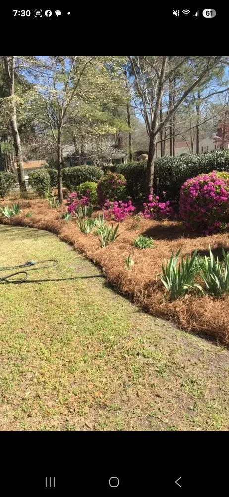 Reliable lawn mowing service for residential properties across Goose Creek, SC - The Pinestraw Guys