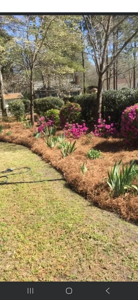 Top-rated yard maintenance with custom design across Goose Creek, SC - The Pinestraw Guys