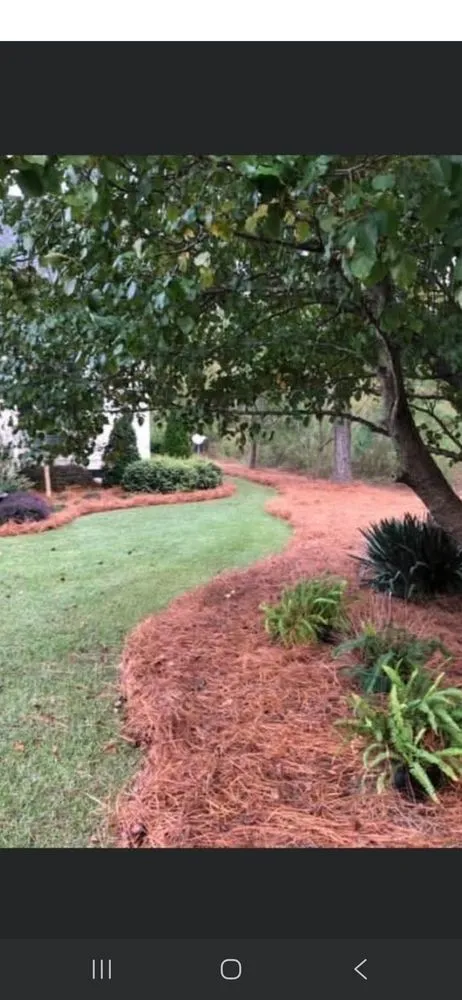 Reliable residential landscaping in Goose Creek, SC by The Pinestraw Guys