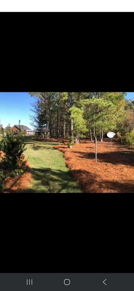 Affordable yard cleanup service in Goose Creek, SC by The Pinestraw Guys