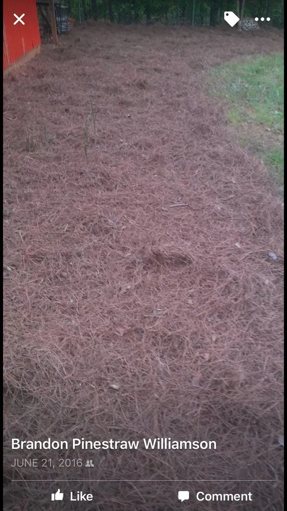 Affordable landscape design for homes across Marietta, GA - The Pinestraw King