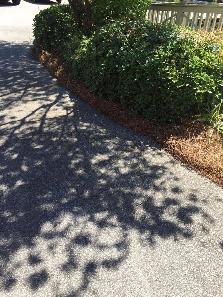 Expert yard maintenance experts serving Marietta, GA - The Pinestraw King