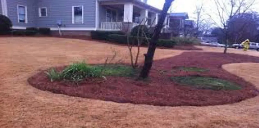 Local residential landscaping for year-round maintenance in Marietta, GA by The Pinestraw King