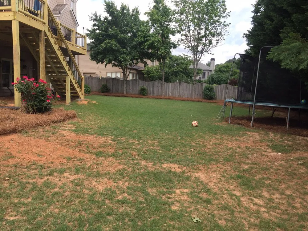 Custom yard cleanup service experts serving Marietta, GA - The Pinestraw King