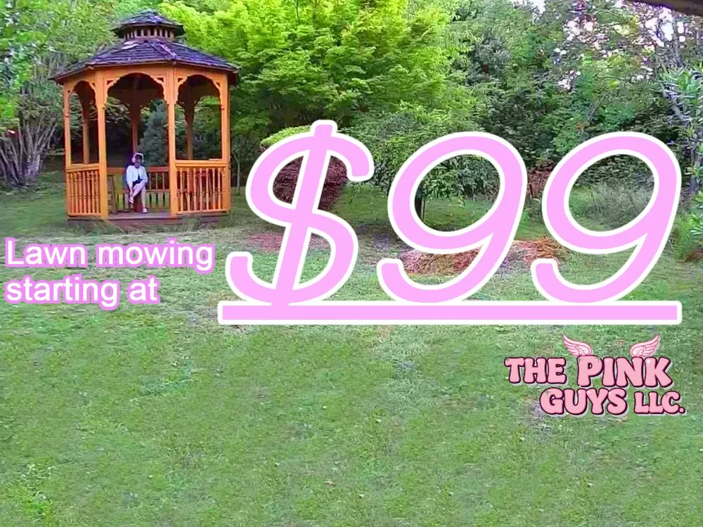 Professional landscape design experts serving Seattle, WA - The Pink Guys