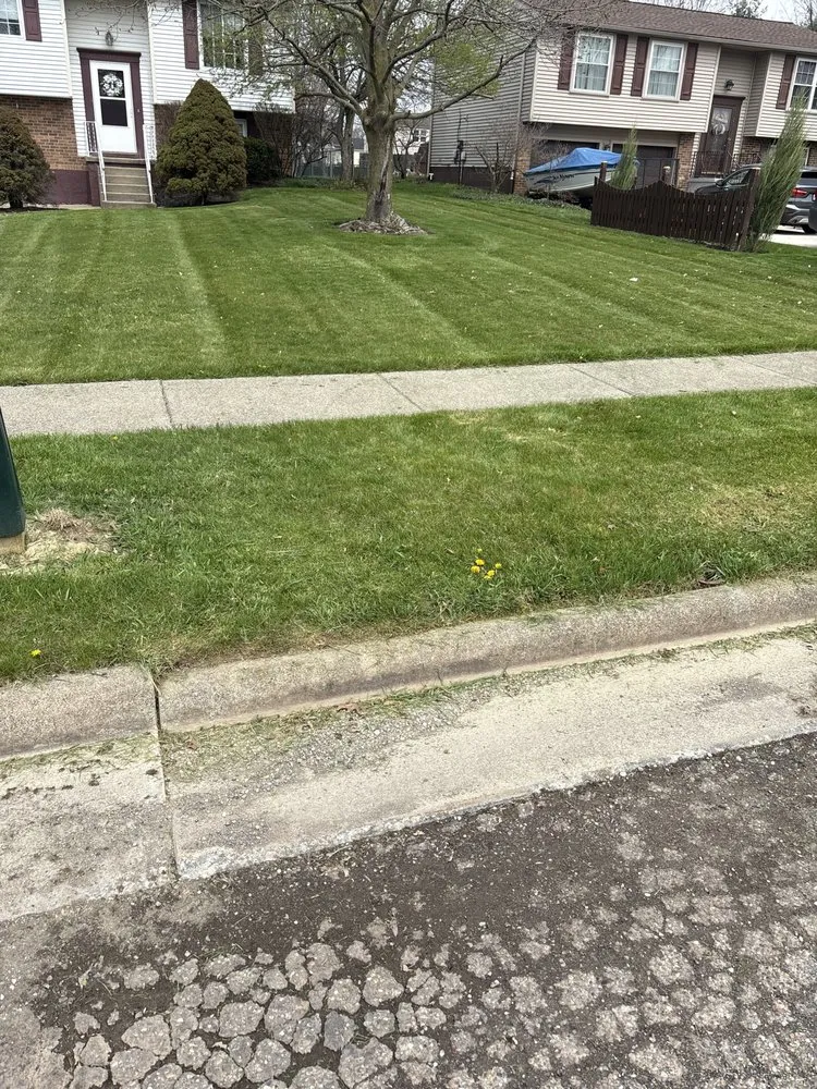Reliable yard cleanup service in Youngstown, OH by The Pipenado