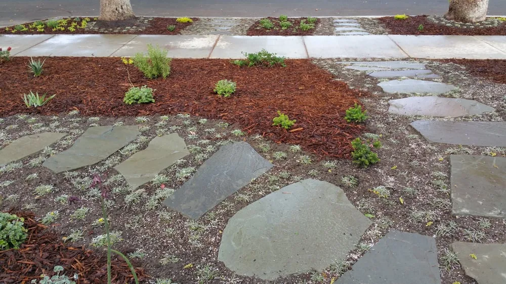 Professional garden landscaping for outdoor upgrades across Northridge, CA - The Plant Connection