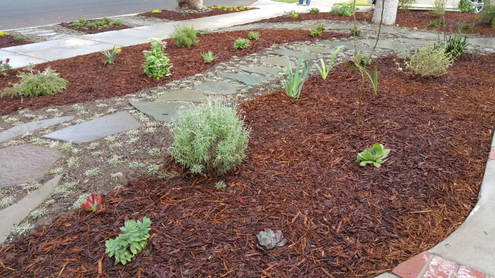 Reliable residential landscaping in Northridge, CA - The Plant Connection