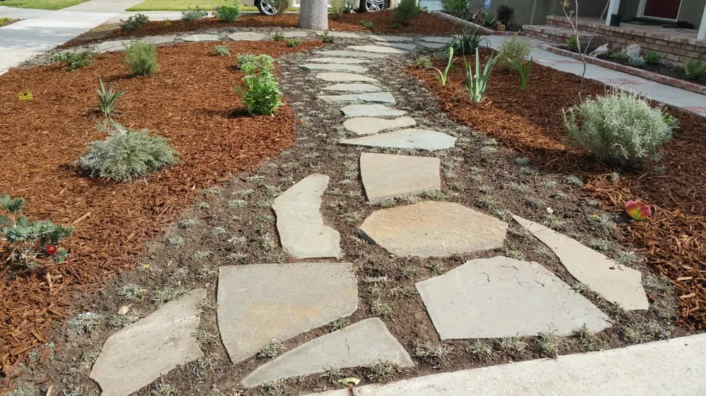 Affordable yard cleanup service for outdoor upgrades in Northridge, CA by The Plant Connection