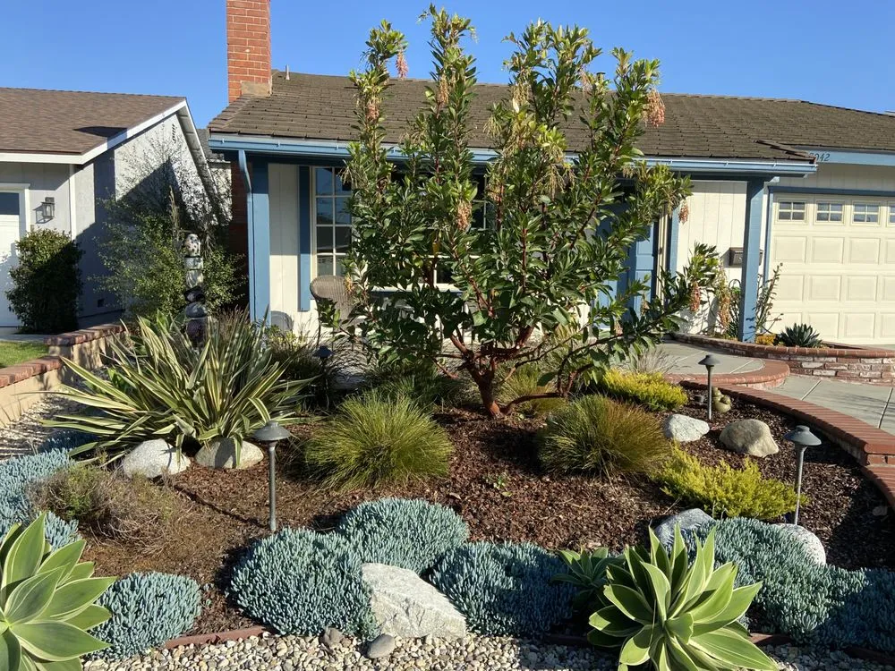 Trusted landscape installation experts serving Long Beach, CA - The Plant Dr