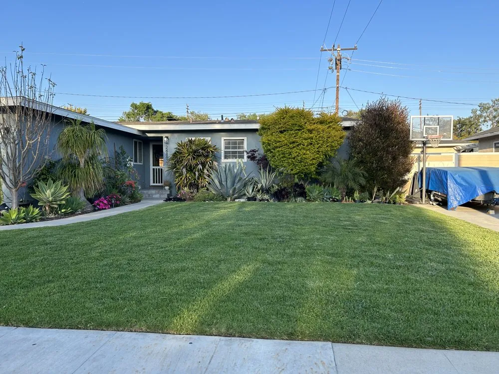 Reliable lawn mowing service experts serving Long Beach, CA - The Plant Dr