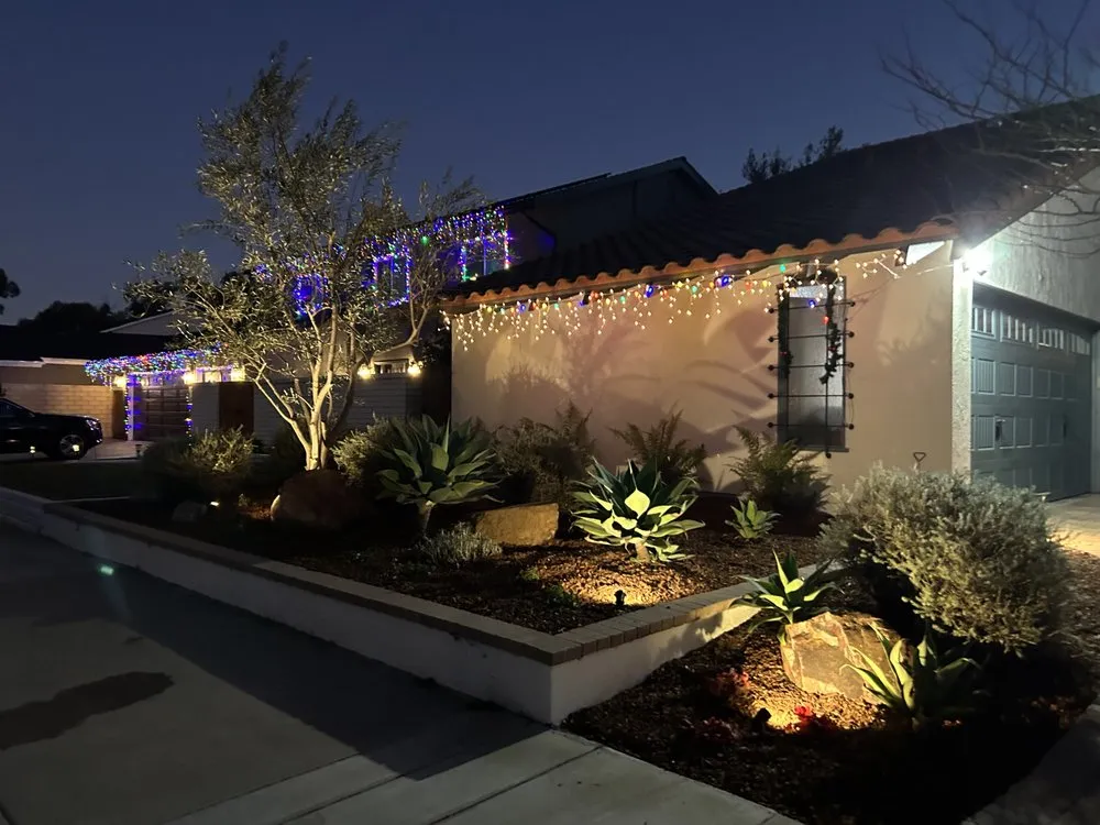 Reliable yard cleanup service for outdoor upgrades across Long Beach, CA - The Plant Dr