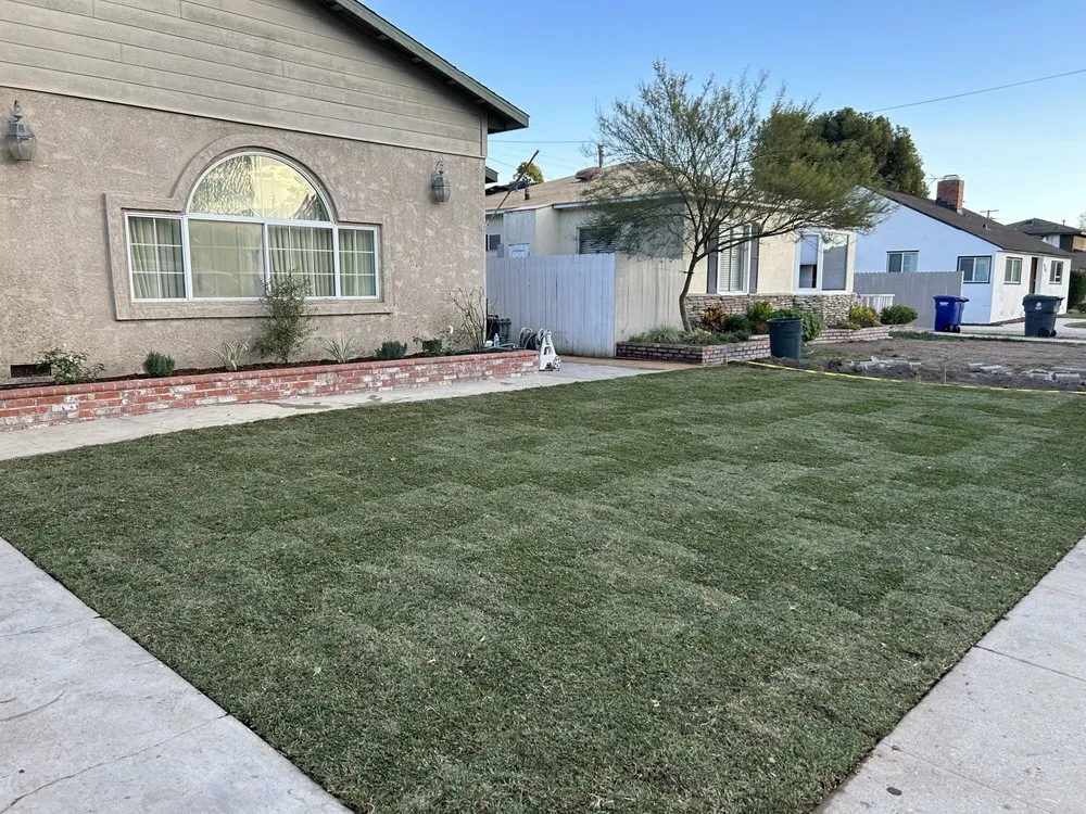 Top-rated garden landscaping for outdoor upgrades in Long Beach, CA by The Plant Dr