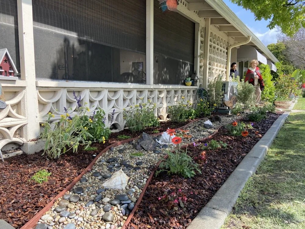 Expert lawn mowing service experts serving Long Beach, CA - The Plant Dr