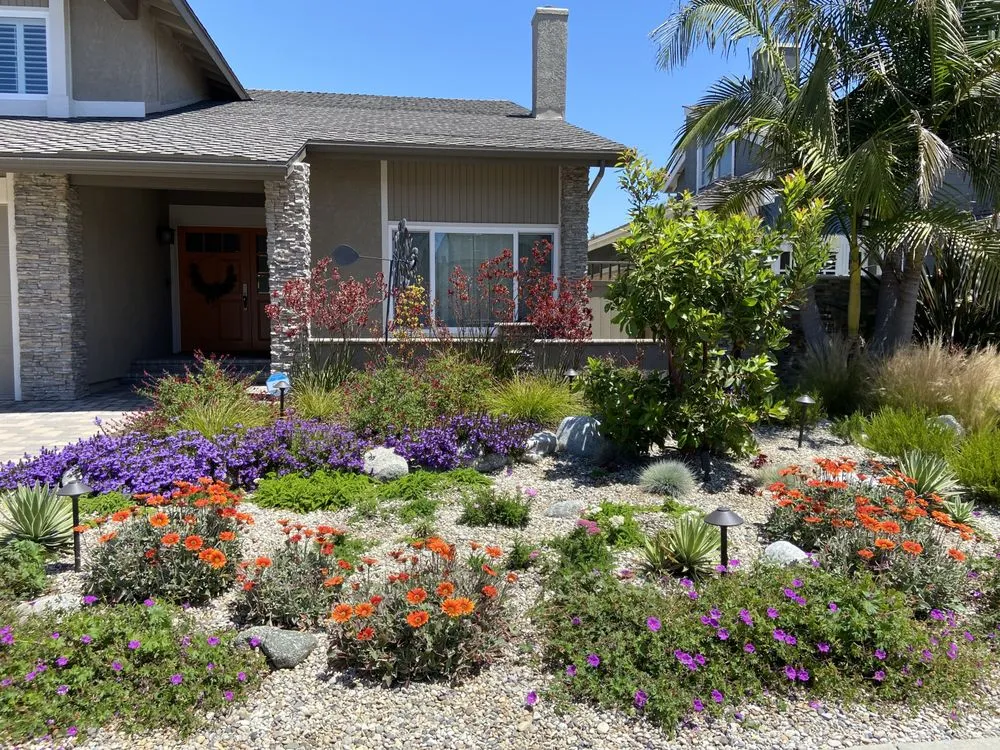 Top-rated landscape design for year-round maintenance across Long Beach, CA - The Plant Dr