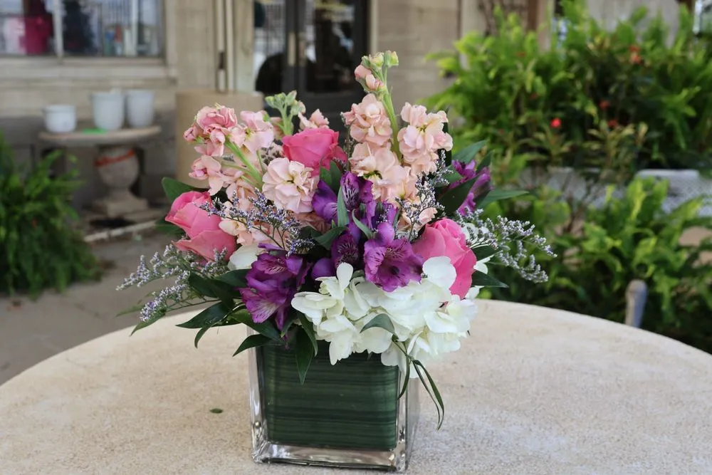 Professional lawn mowing service with custom design across Metairie, LA - The Plant Gallery