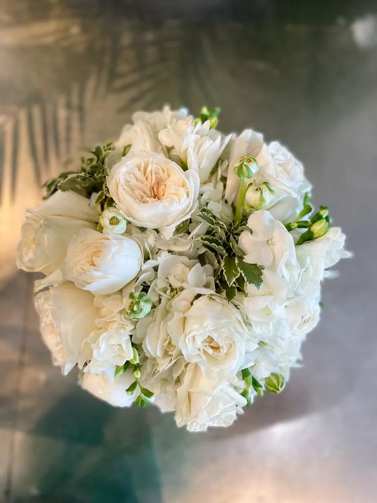 Trusted outdoor landscaping in Metairie, LA - The Plant Gallery