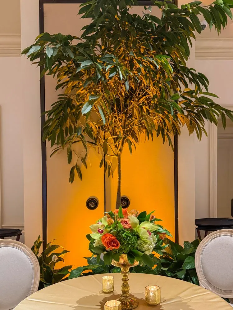 Top-rated landscape design in Metairie, LA - The Plant Gallery