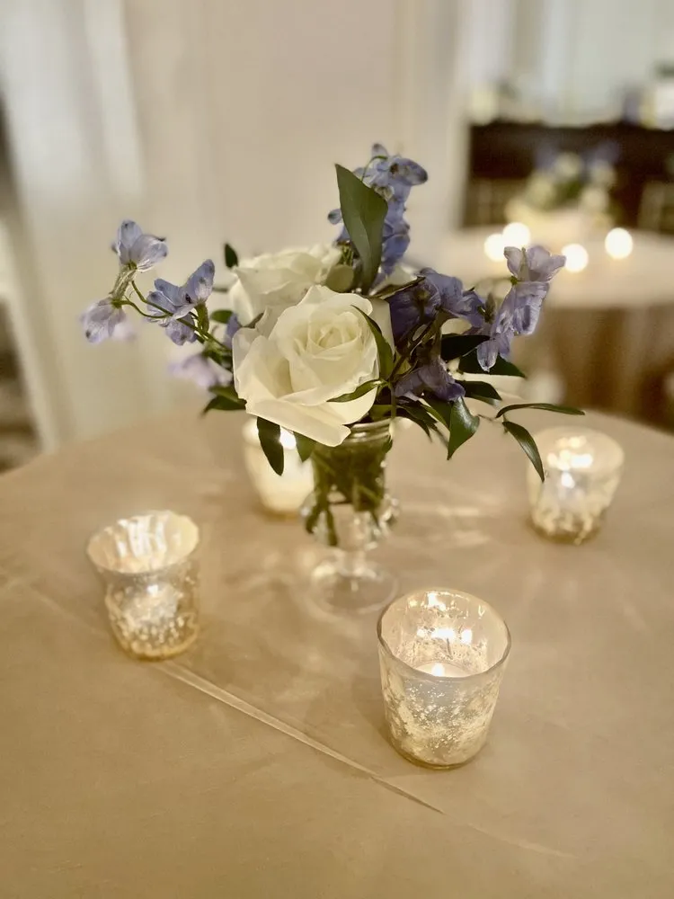 Top-rated lawn care service near you across Metairie, LA - The Plant Gallery