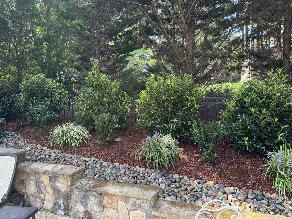 Expert landscaping services in Charlotte, NC - The Plant Guys