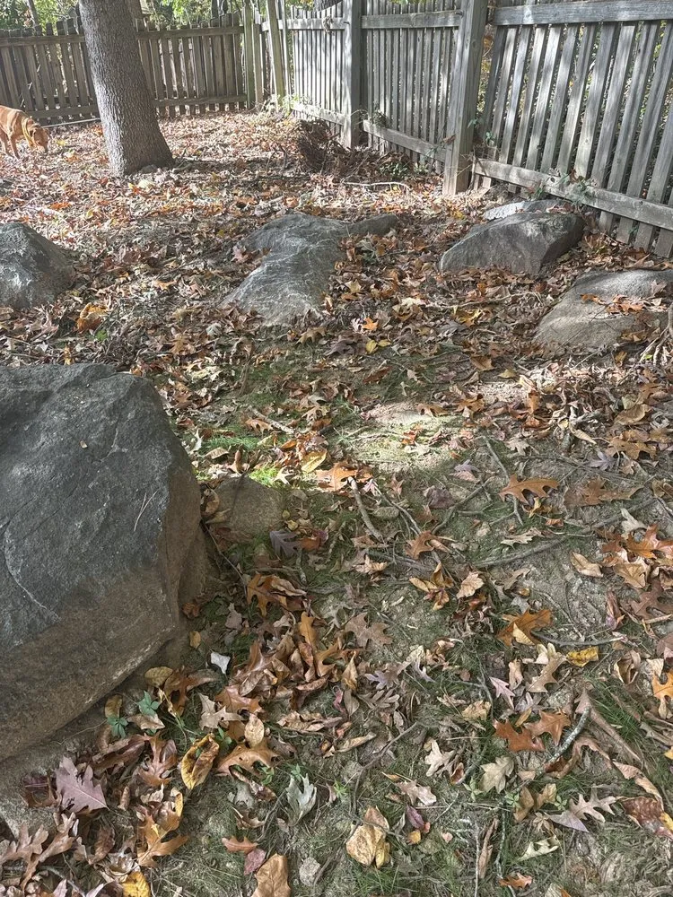 Affordable outdoor landscaping in Charlotte, NC - The Plant Guys